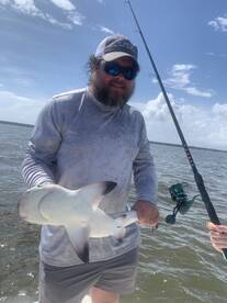 Gulf Shores Report Photo 2