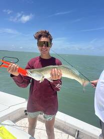 Sunset Bay Fishing: Redfish & Spotted Tr