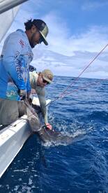 Playa Hermosa Report Photo 2