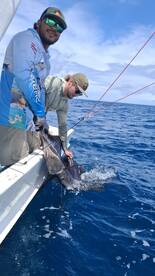 Billfish Day