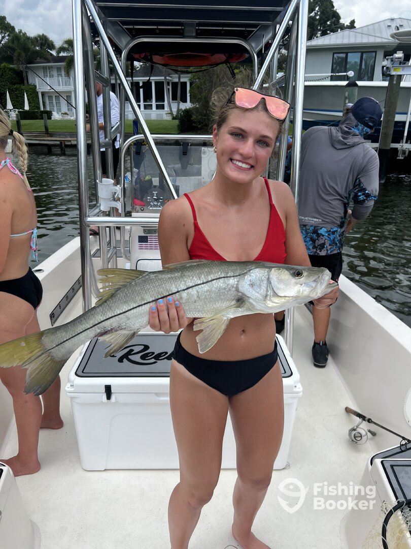 Sarasota Report Photo 0