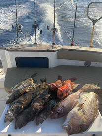 Split Report Photo 1