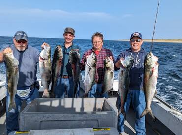 Provincetown Report Photo 4