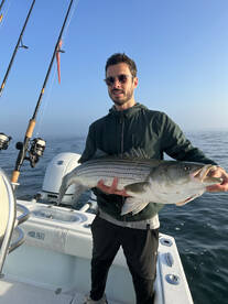 Barnstable Report Photo 2