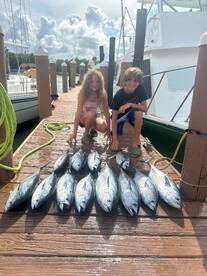 Dania Beach Report Photo 1