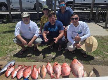 Snapper still on!