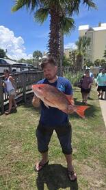 Panama City Report Photo 1
