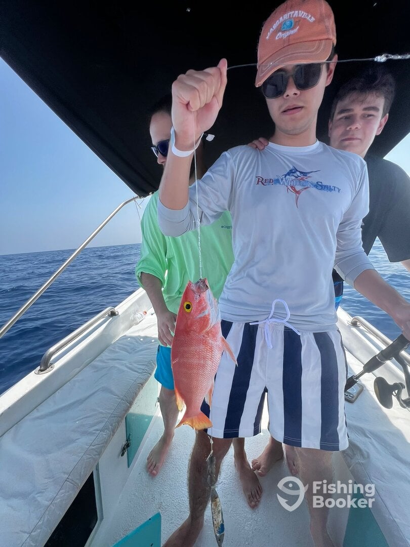 Riviera Maya Report Photo 0