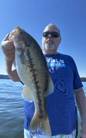 Branson Report Photo 1