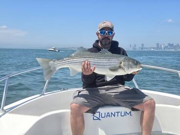 Boston Harbor Report Photo 2