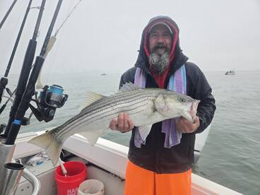 Boston Harbor Report Photo 1