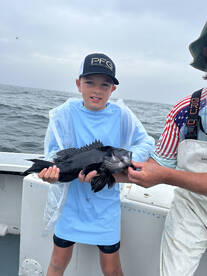 Long Island Report Photo 2