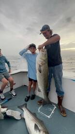Big stripers! 