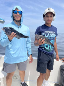 Just short fluke today but big seabass  