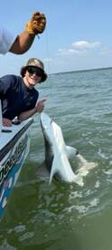 Chincoteague Report Photo 2