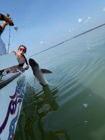 Chincoteague Report Photo 1