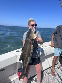 Virginia Beach Report Photo 2