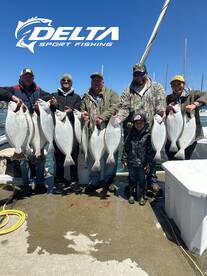 July 5th Halibut Limits