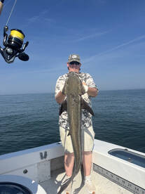 Norfolk Report Photo 1