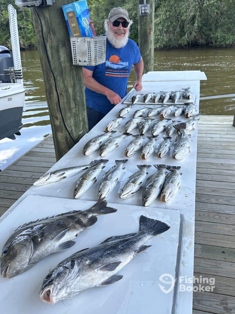 St. Bernard Report Photo 0