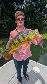 Gamboa Report Photo 1