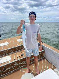 Steinhatchee Report Photo 1