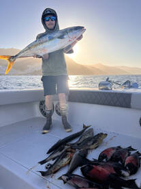 Redondo Beach Report Photo 2