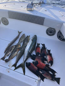 San Pedro Report Photo 2