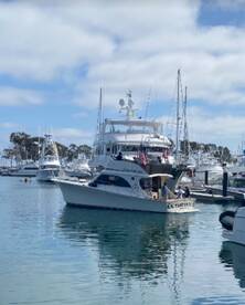 Dana Point Report Photo 2