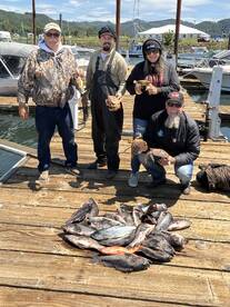 Garibaldi Report Photo 2