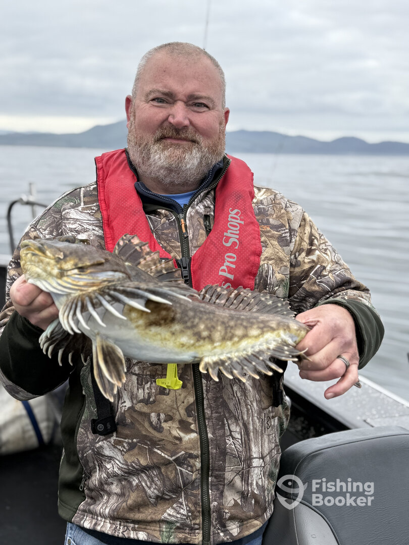 Garibaldi Report Photo 0