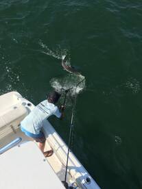 Virginia Beach Report Photo 1