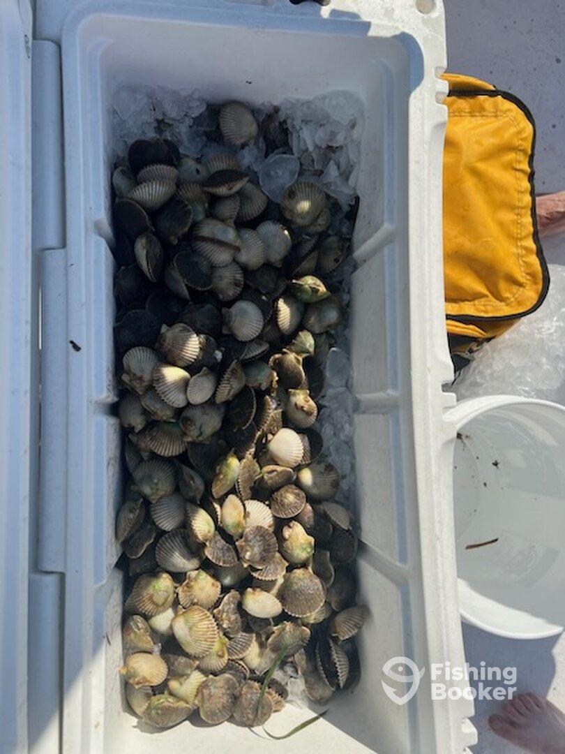 Steinhatchee Report Photo 0