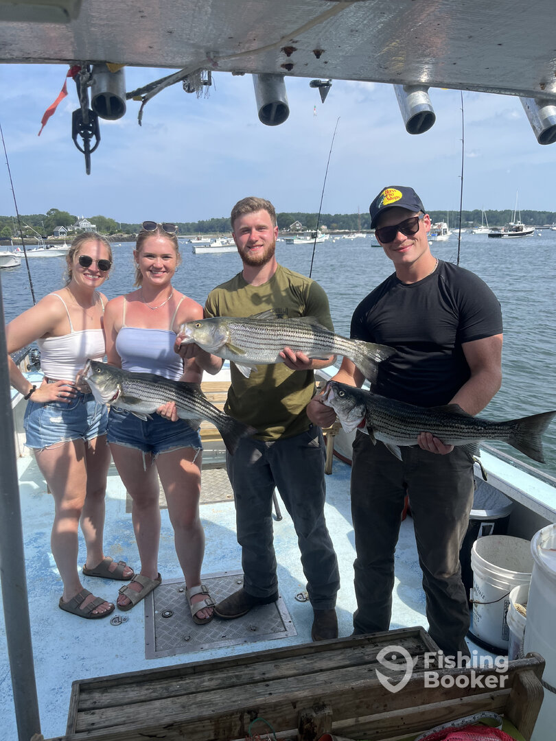 Kittery Report Photo 0
