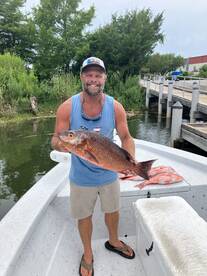 Snapper season ! 