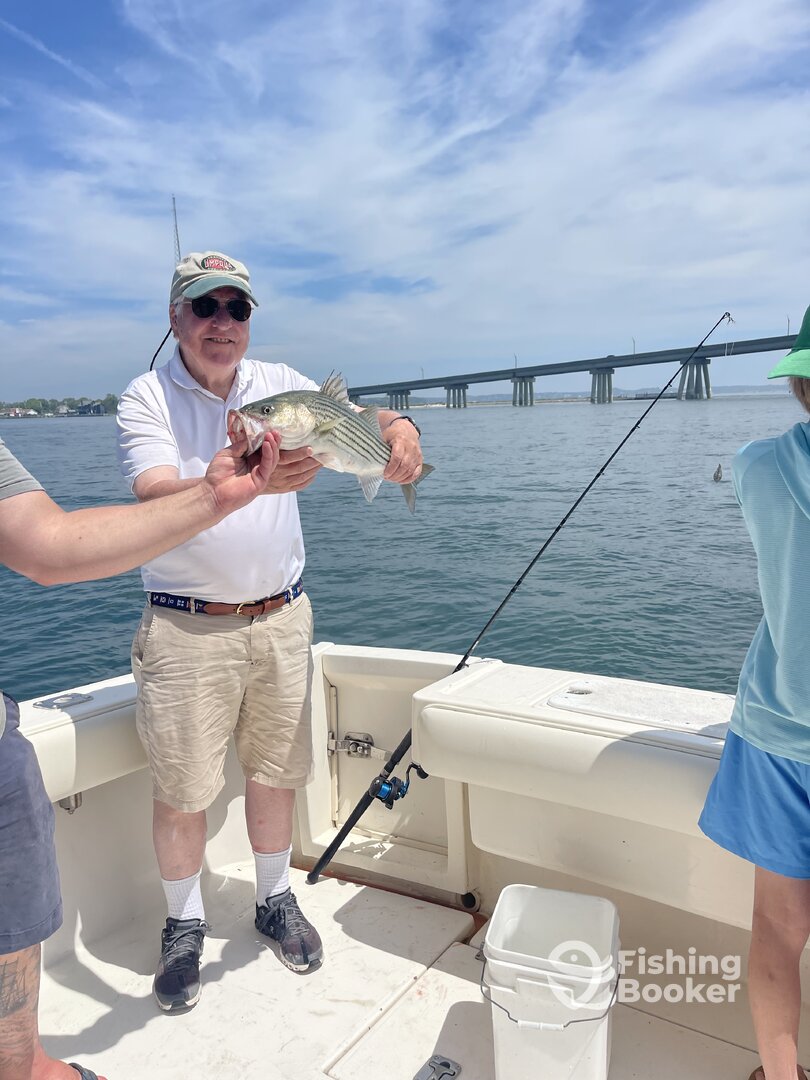 Hampton Bays Report Photo 0