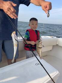 Hampton Bays Report Photo 2