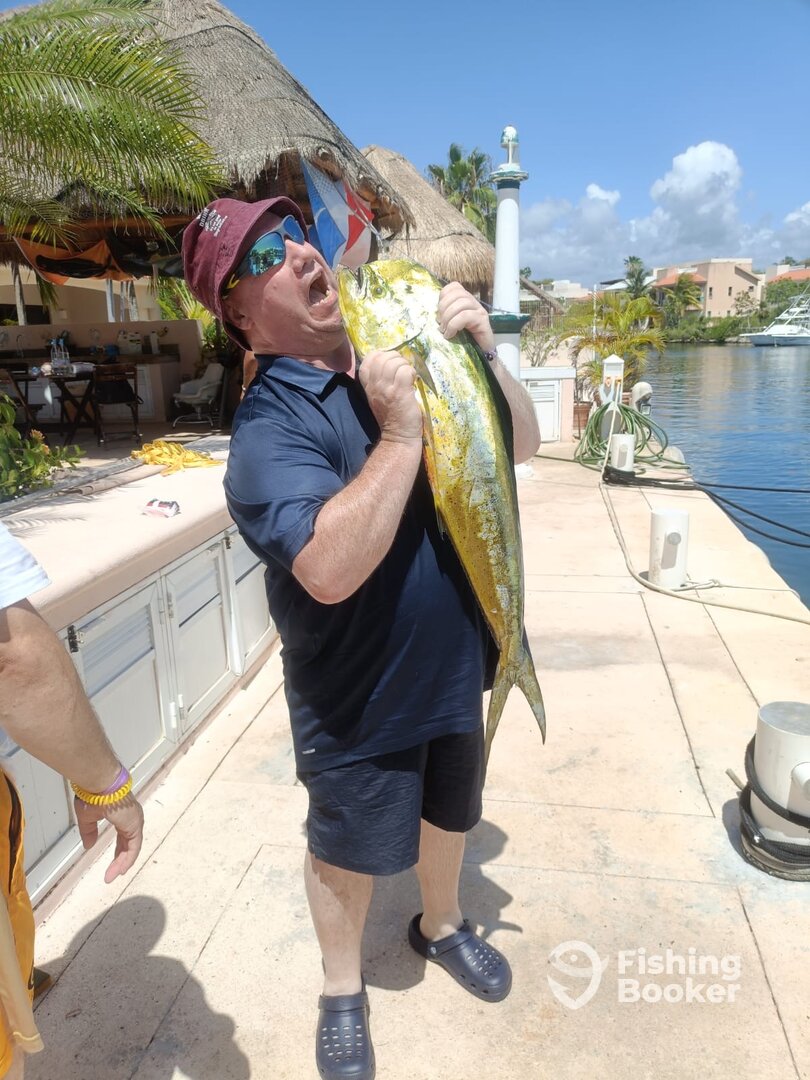 Playa Del Carmen Report Photo 0