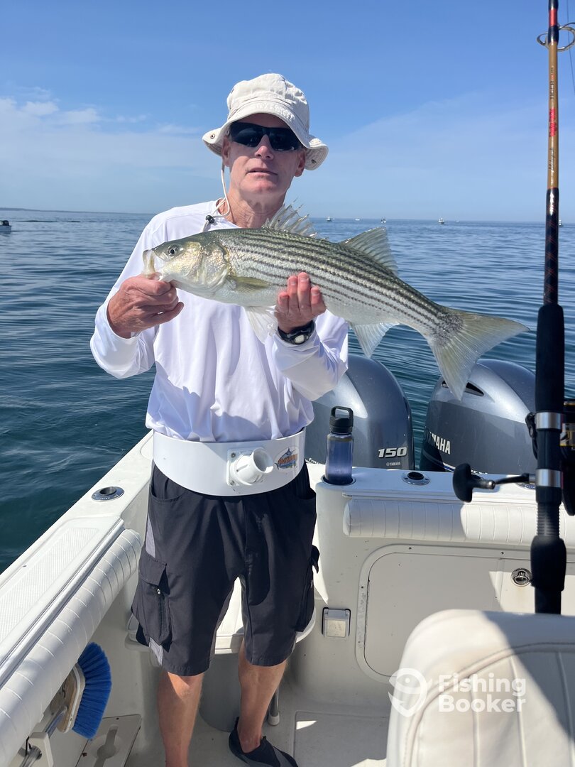 Cape Cod Report Photo 0