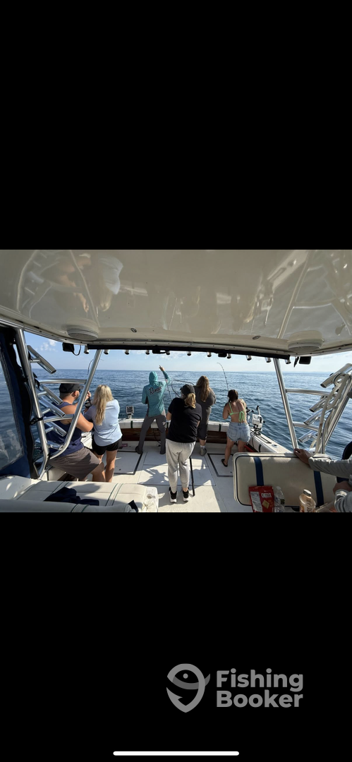 Manistee Report Photo 0