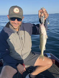 Buffalo Report Photo 2