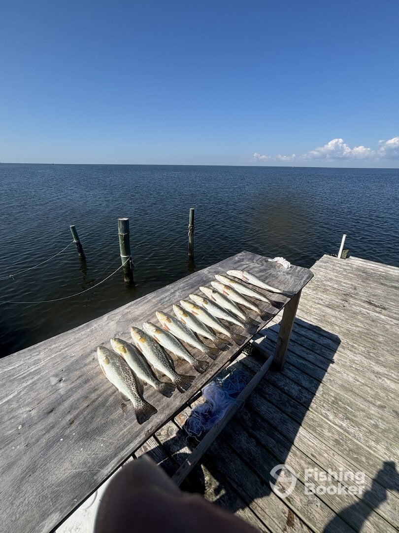 Rodanthe Report Photo 0