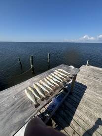 Trout seaaon is here, lets go get them!!