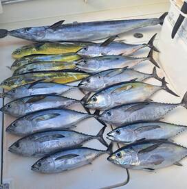 Early starts are worth it