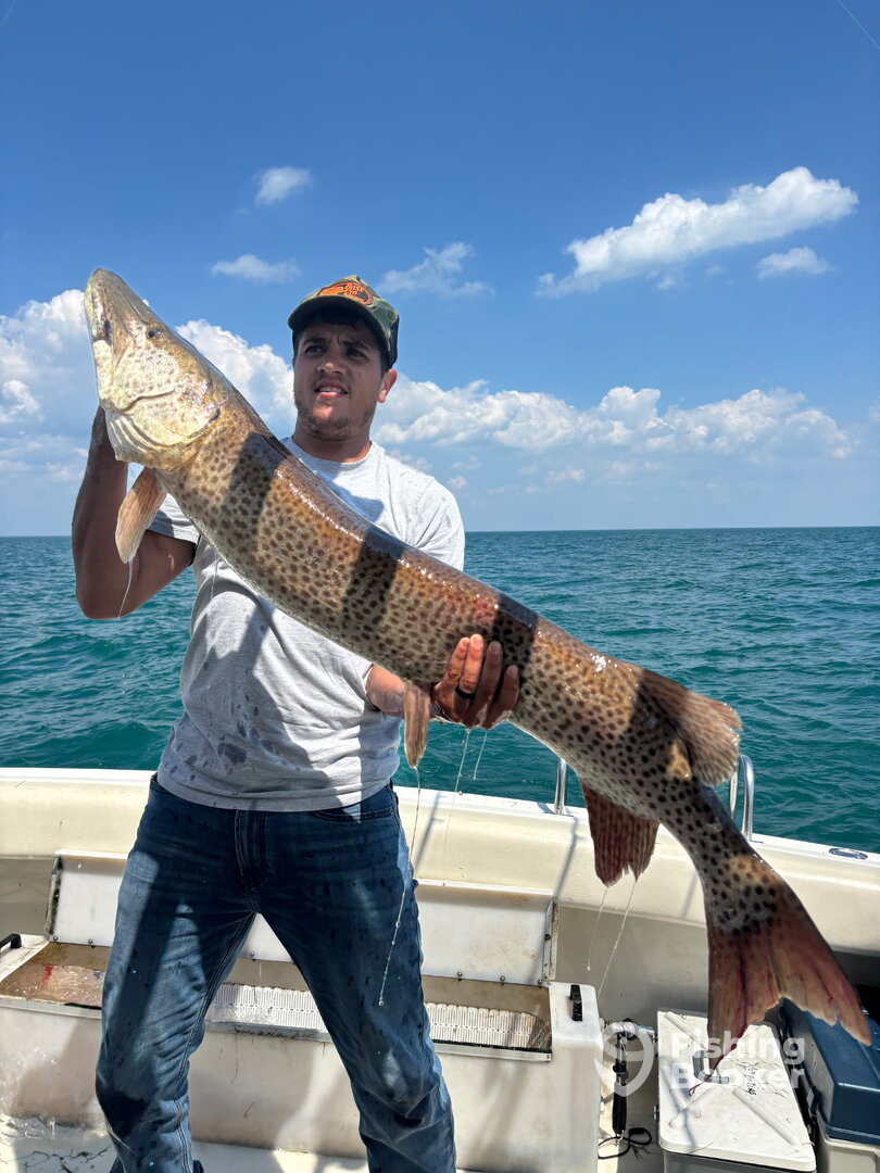 St. Clair Shores Report Photo 0