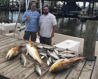 Chauvin Bull Redfish and speckle trout 