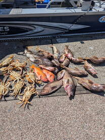 Winchester Bay Report Photo 1