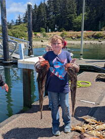 Winchester Bay Report Photo 2