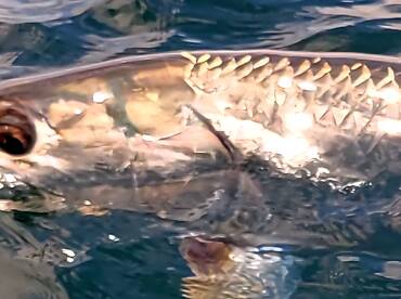 Destin Report Photo 2