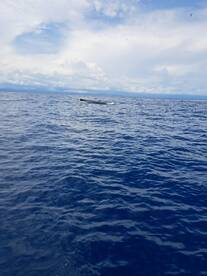 Los Sueños Report Photo 1